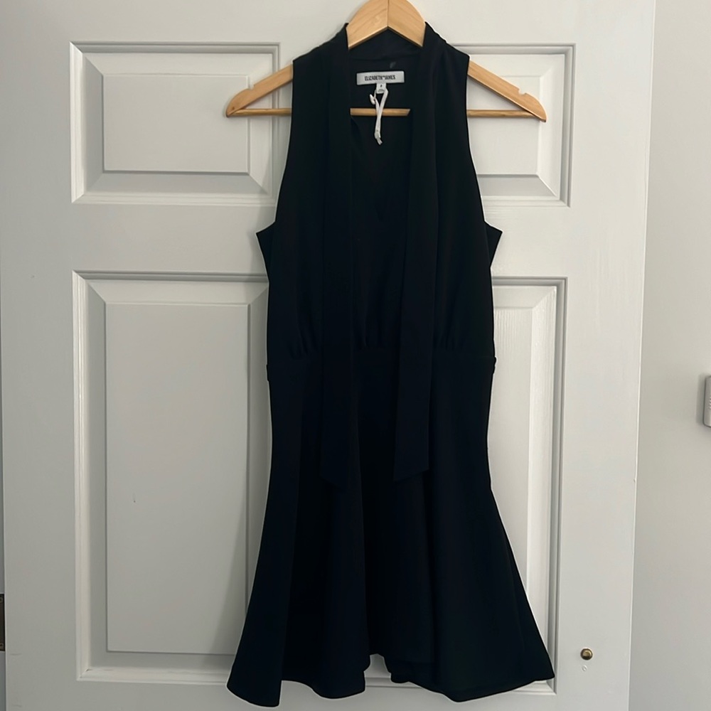 Elizabeth James cocktail dress